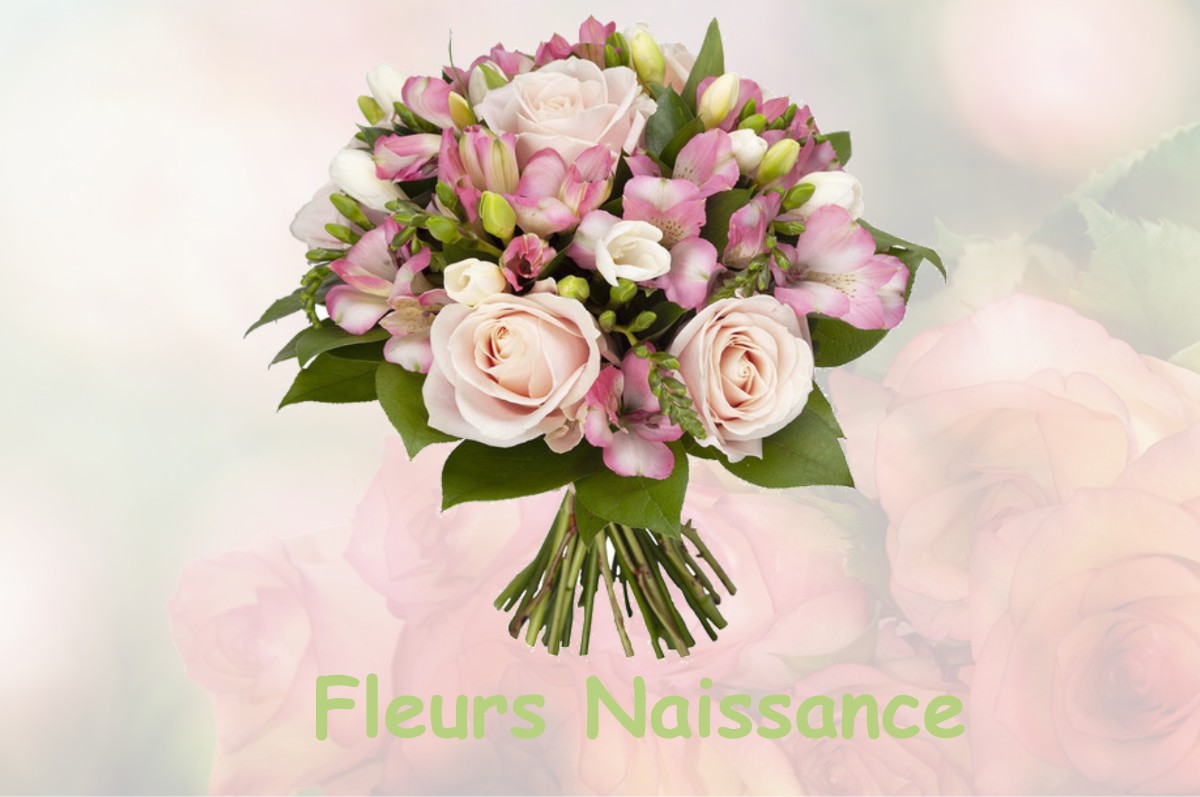 fleurs naissance YSSAC-LA-TOURETTE